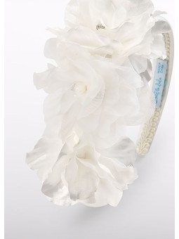 copy of Fascia Mikado Abel...