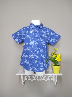 Camicia Blue Seven