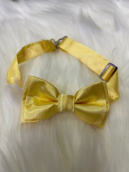 Papillon Nazareno Gabrielli